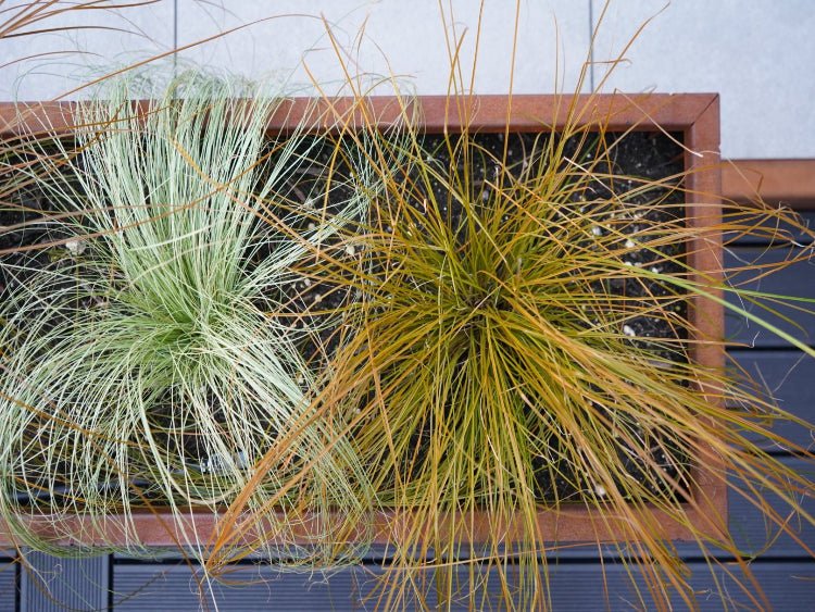 Corten-plantekasse-CUBY-no