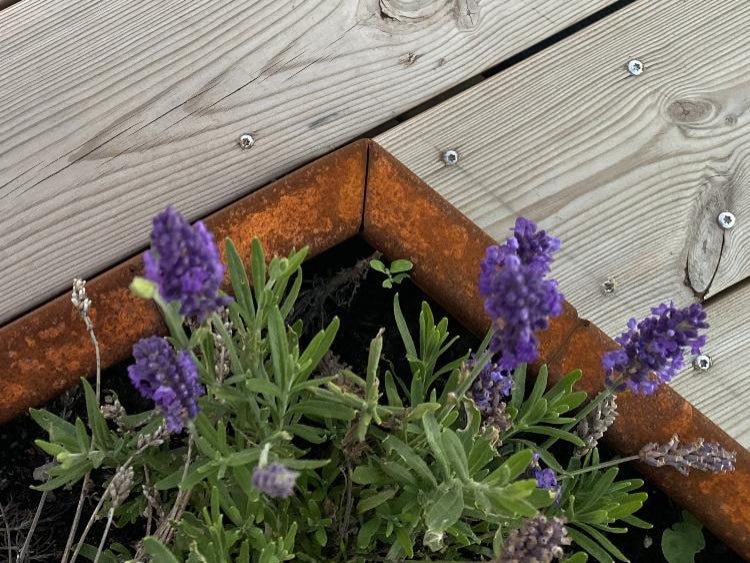 Corten-staal-special-hjoerne-no