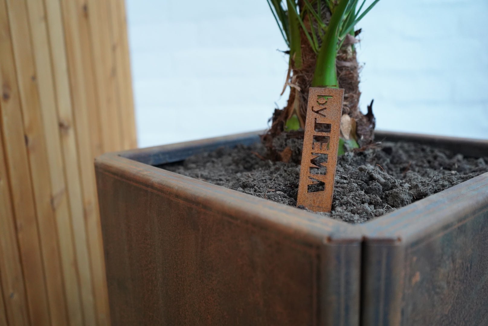 Cortenstaal-plantekasse-EDGY65-no