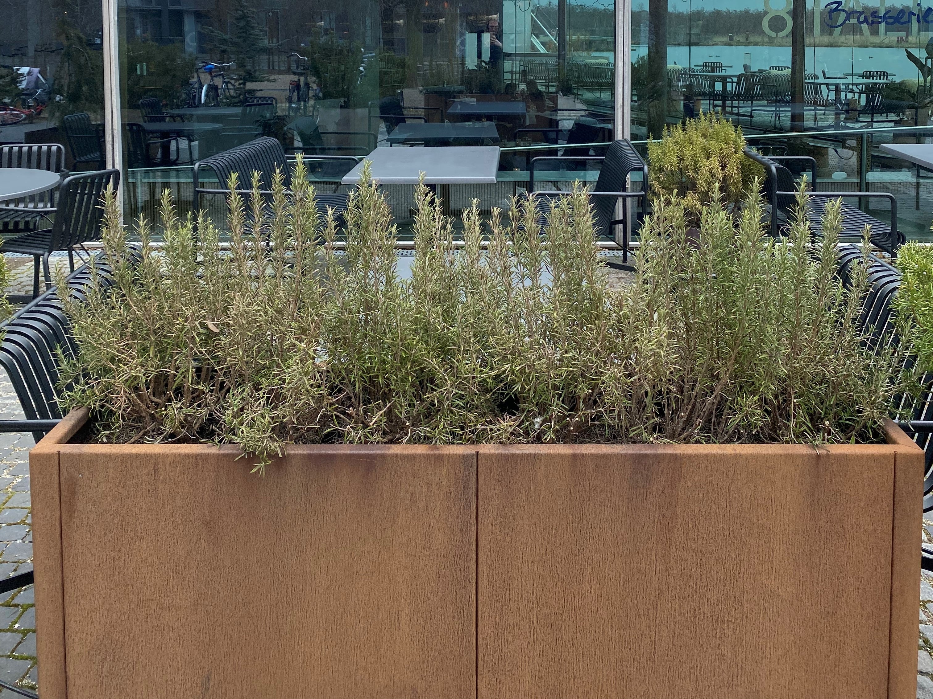 Cortenstaal-plantekasse-kundefoto-no