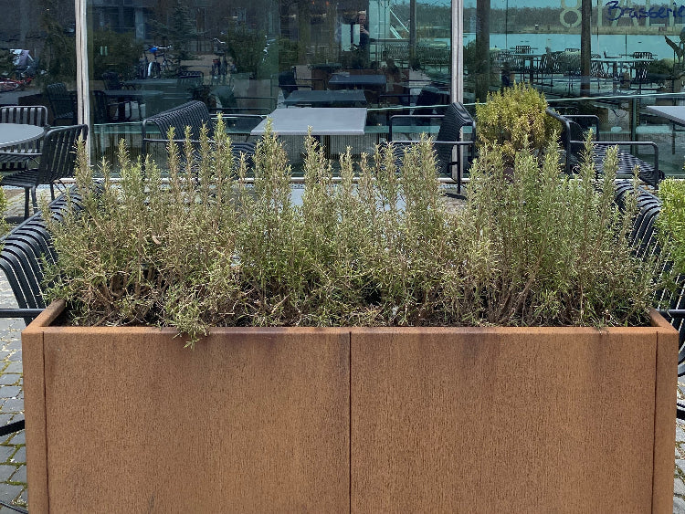 Cortenstaal-plantekasse-kundefoto-no