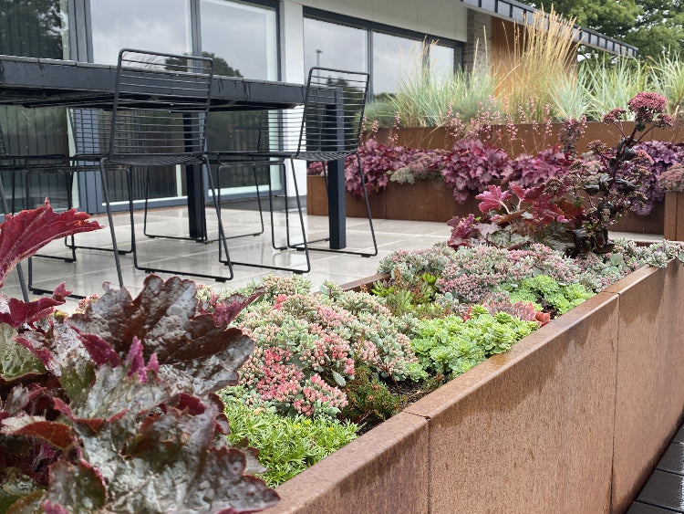 Cortenstaal-plantekasse-sedum11-no