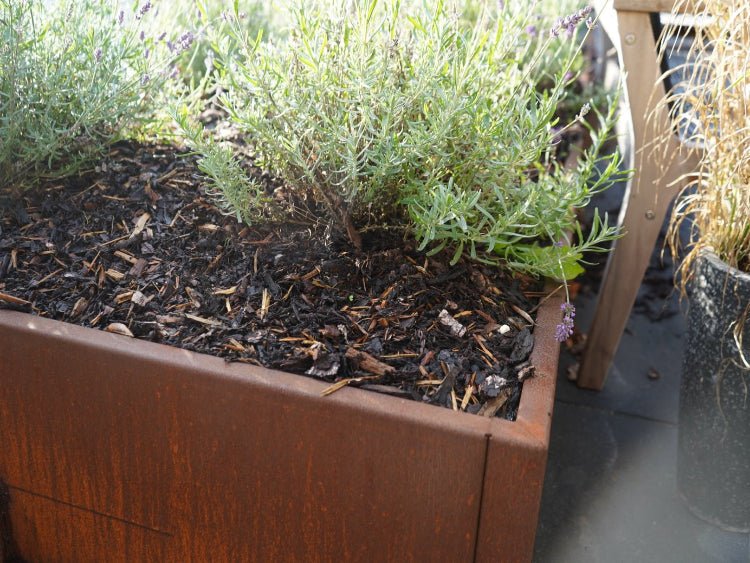 Cortenstaal-stottemur-planter2-no