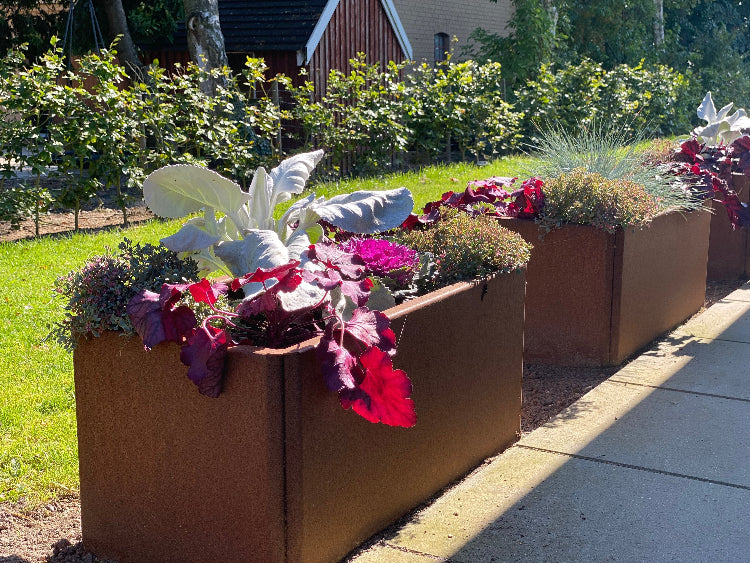 EDGY-Cortenstaal-80-uden-bund2-no