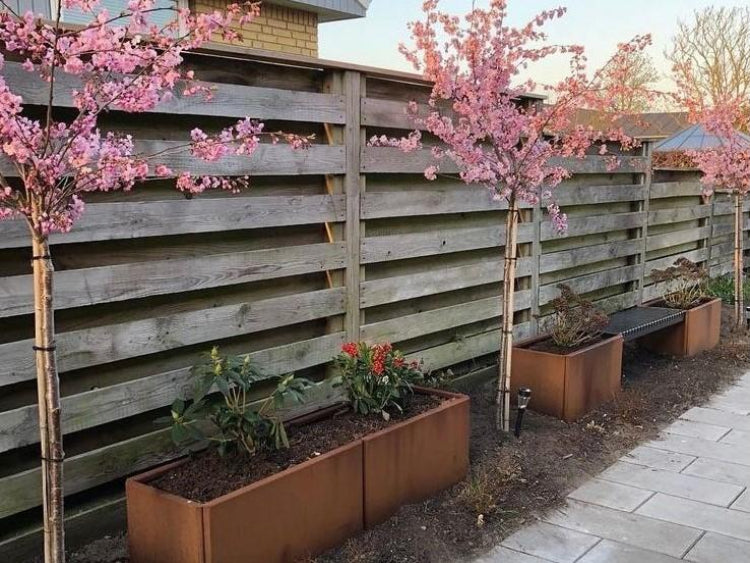 EDGY-kirsebaertraeer-kundebillede-no