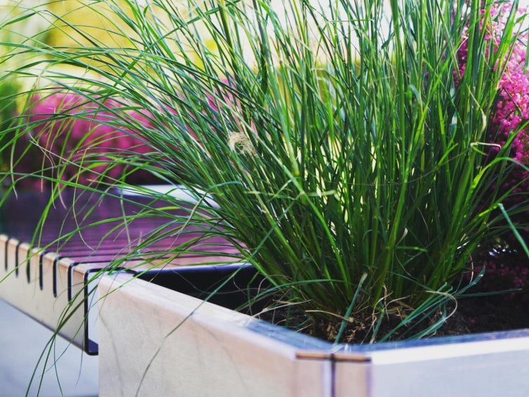 EDGY-plantekasse-galvaniseret-staal-no