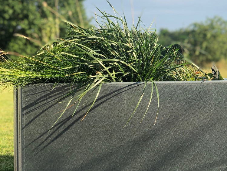 EDGY-plantekasse-med-prydgraesser-no