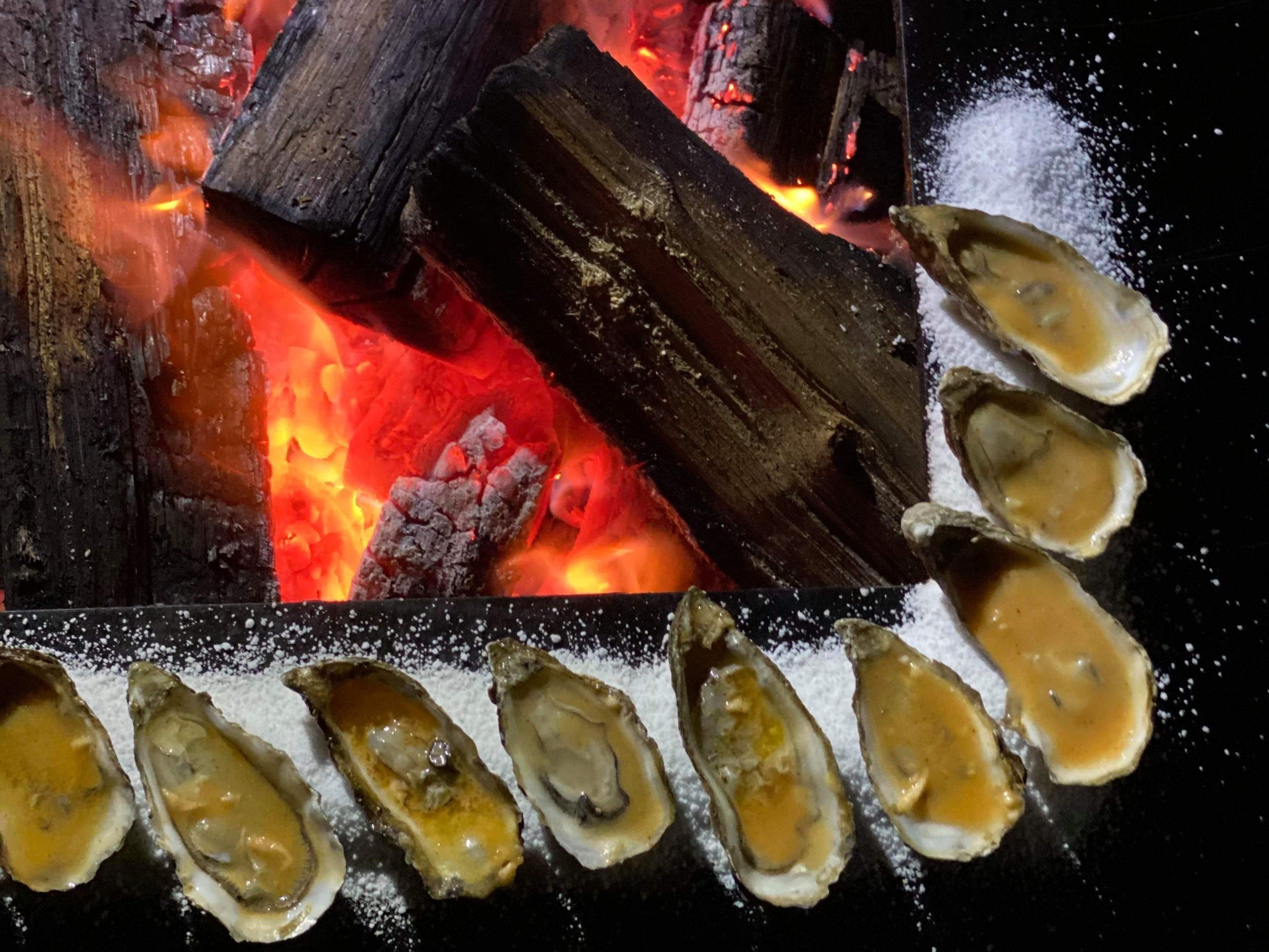 Grillplade-og-til-baalgrill16-no