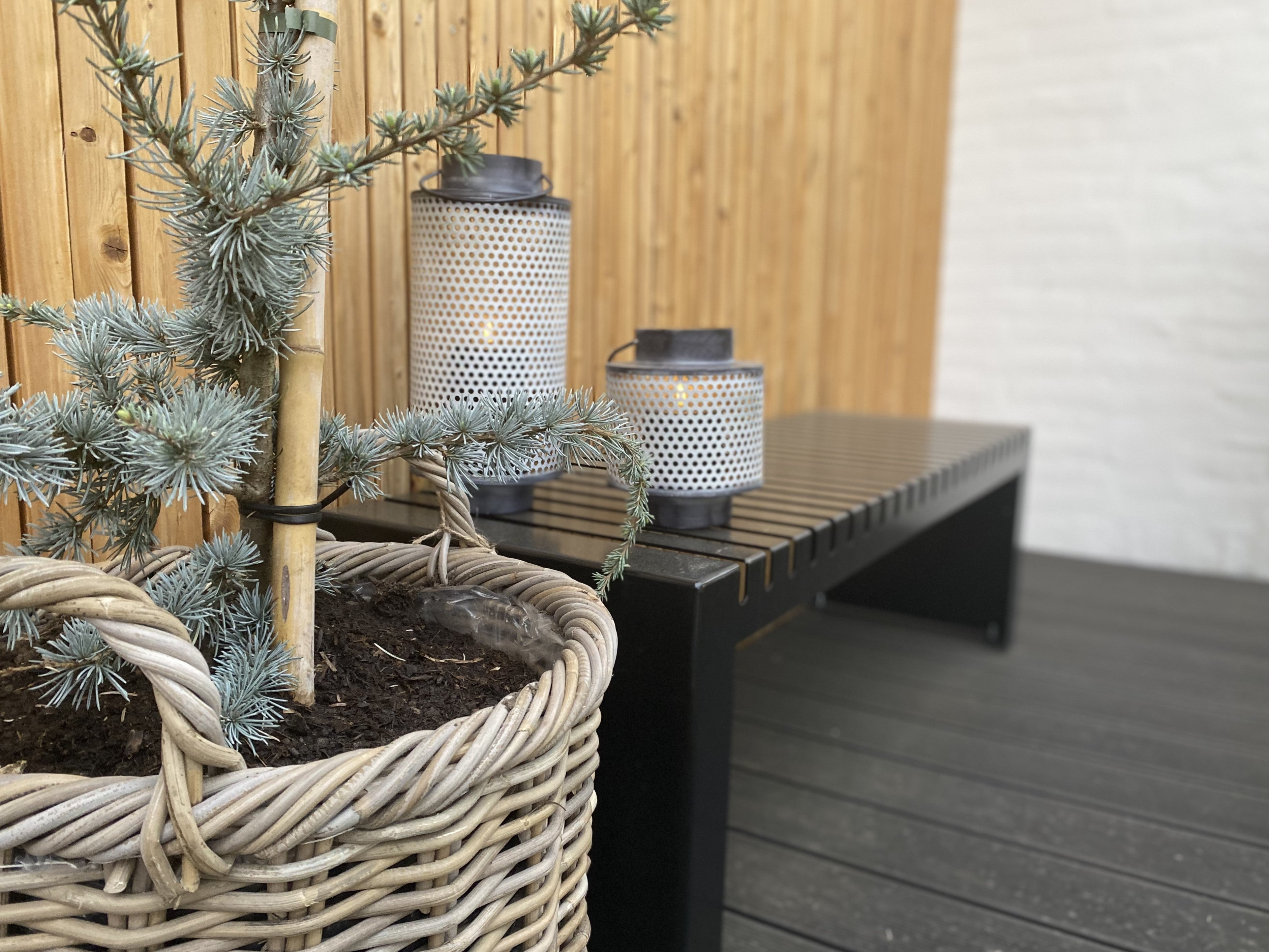 Havebaenk-cedertrae-no