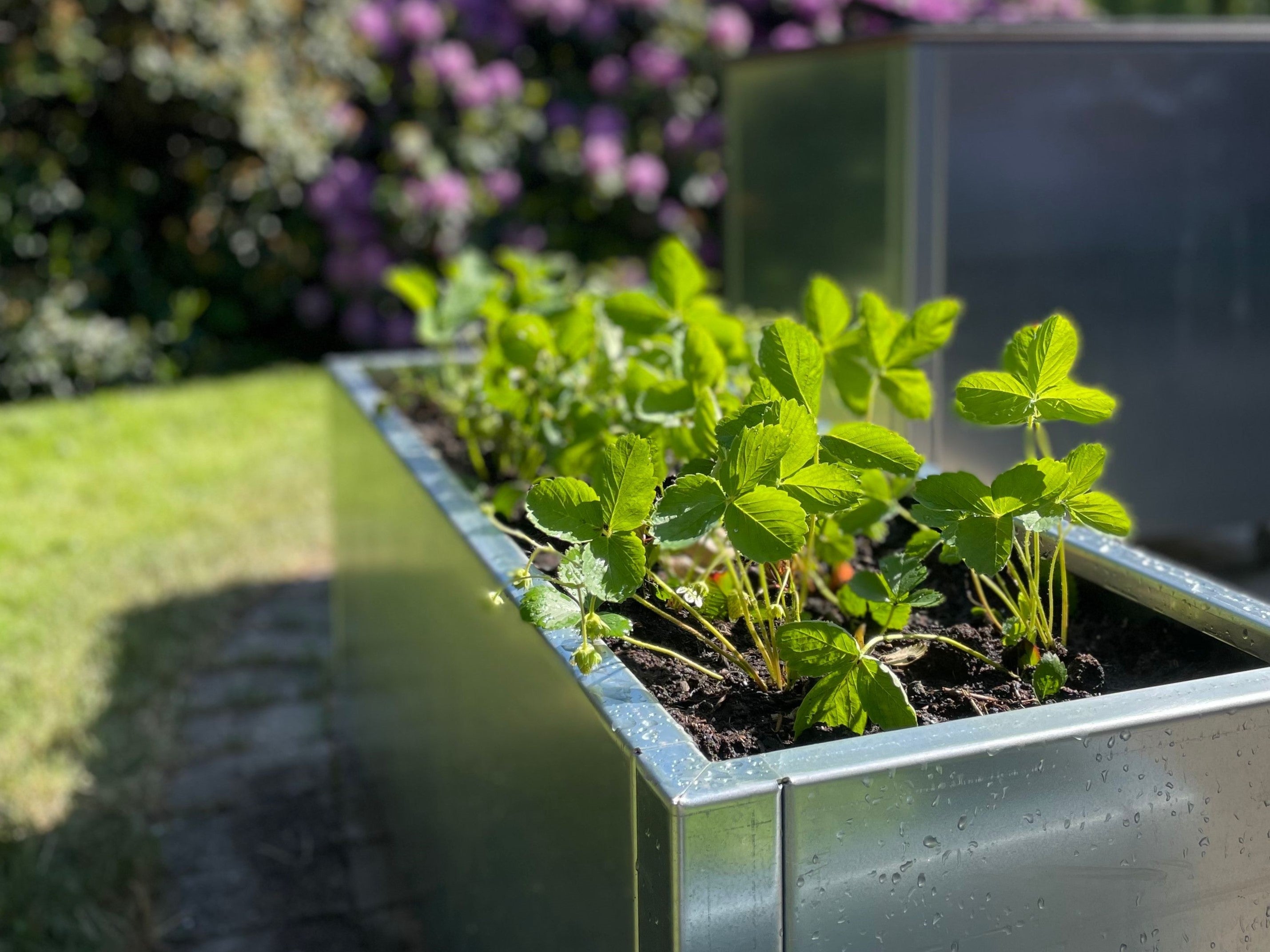 Hoejbed-galvaniseret-staal1-no