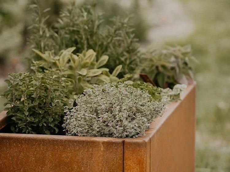 Krydderurter-cortenstaal-detalje-no