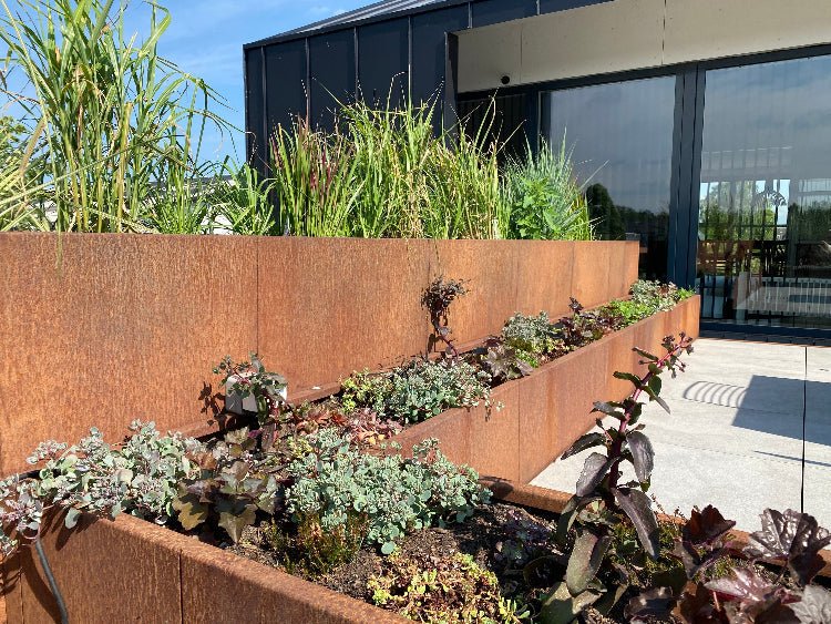 Sedum-og-prydgaesser-i-cortenstaal-no