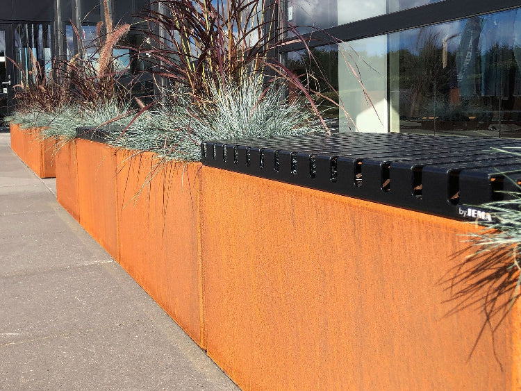 Top-sort-baenk-EDGY5-no