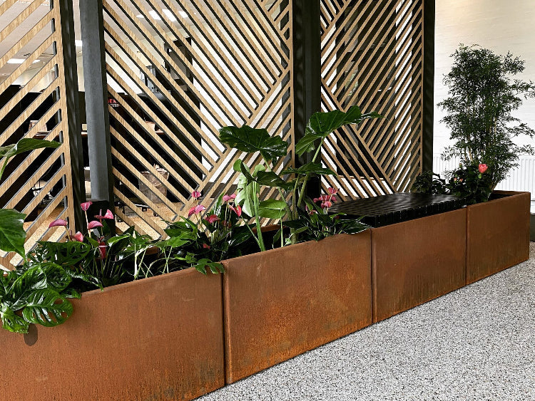 Top-sort-baenk-EDGY6-no