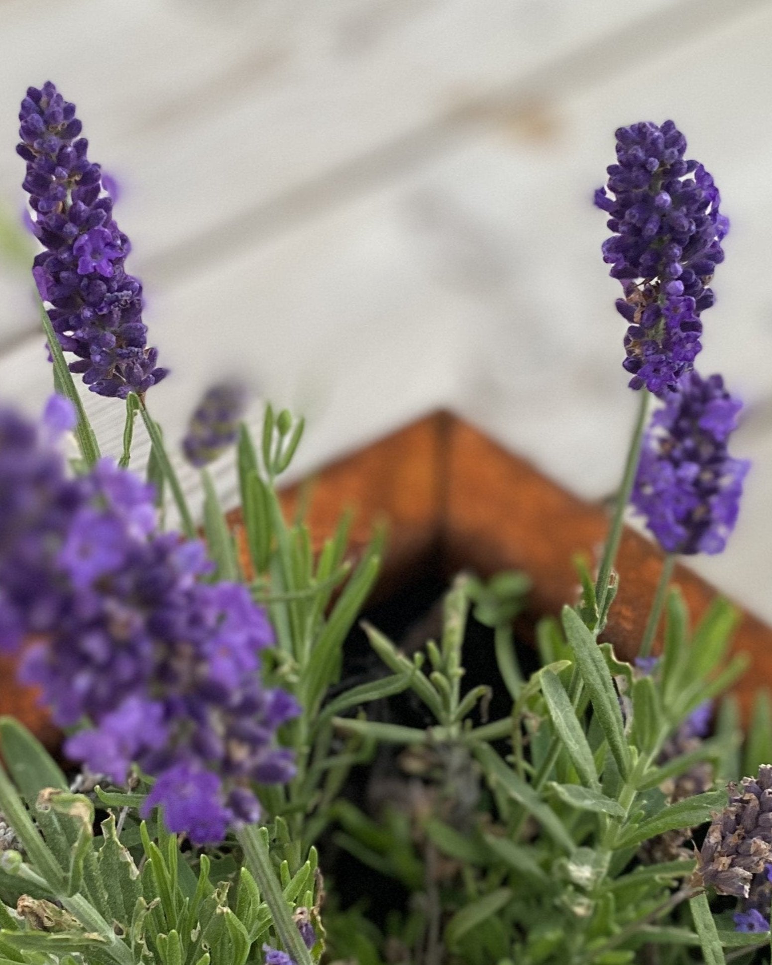 Vinkel-paa-specialmaal-corten-no