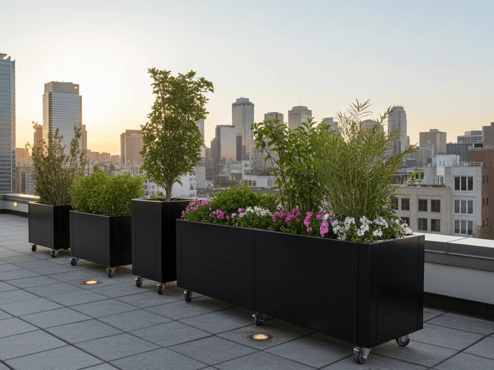 byJEMA CUBY plantekasser i svartlakkert stål med hjul på moderne takterrasse