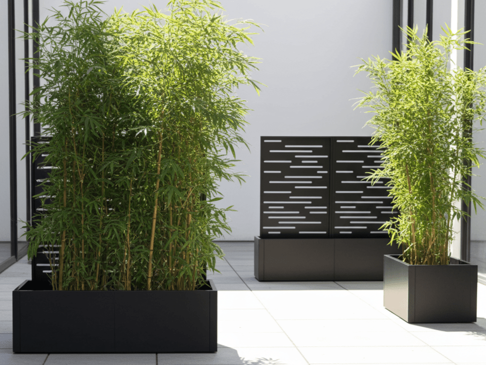 Sortlakkert plantekasse i stål med spalier, brukt som skjerming på terrasse.