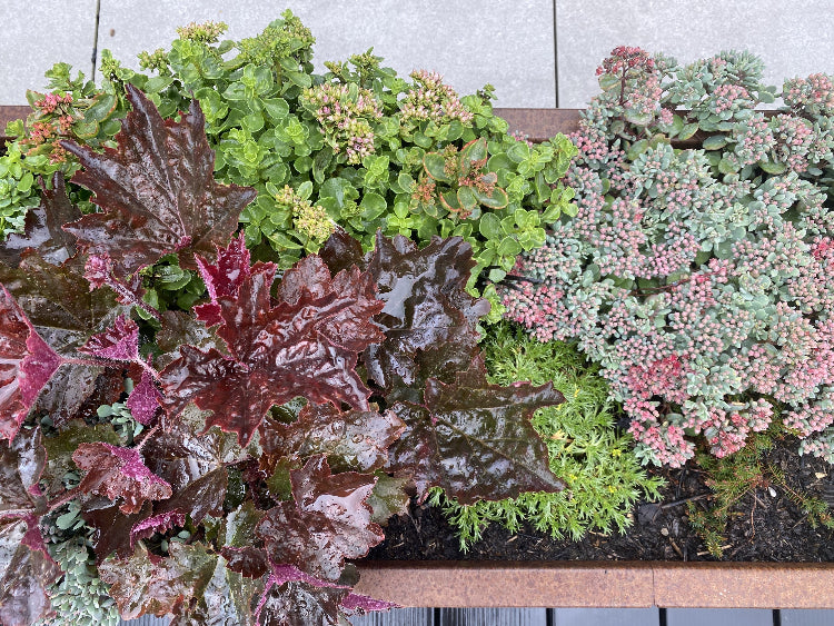 cortenstaal-graesser-detalje4-no