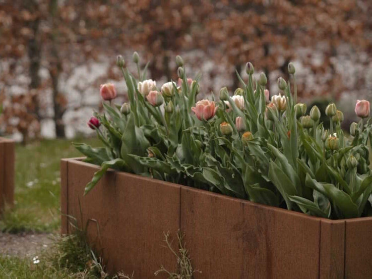 cortenstaal-plantekasse-cuby7-no