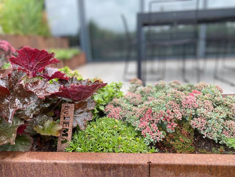 cortenstaal-plantekasse-cuby9-no