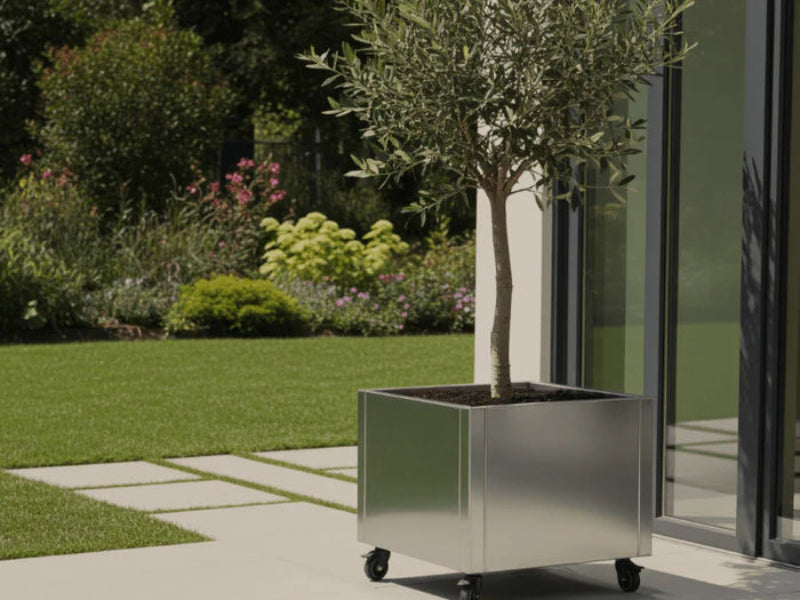 Mobil plantekasse i galvanisert stål fra CUBY med oliventre