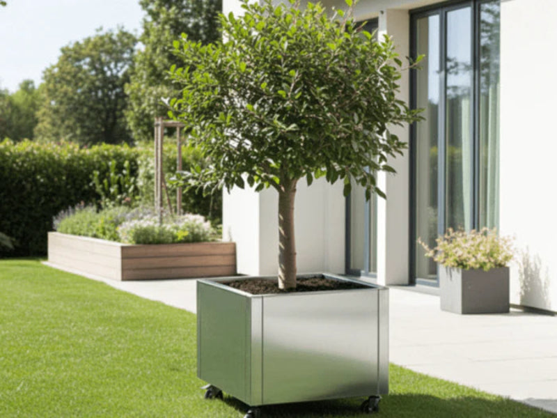 Plantekasse i galvanisert stål fra CUBY med tre på gressplen