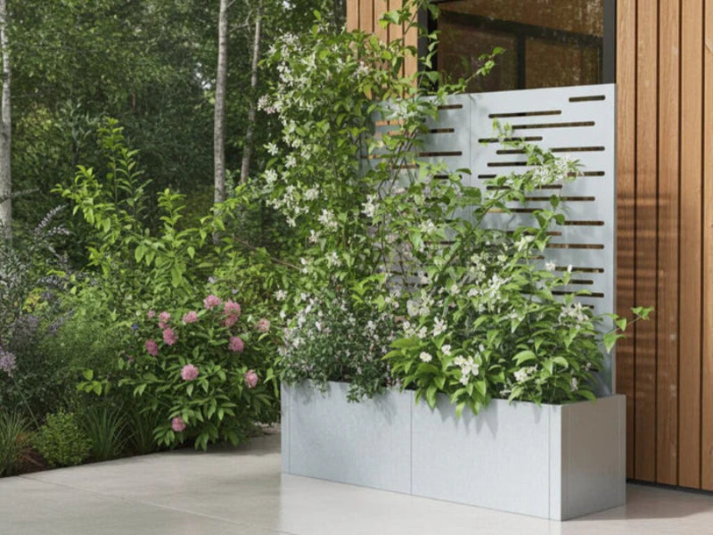 CUBY plantekasse i galvanisert stål med espalier og klatreplanter