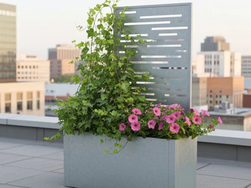 CUBY plantekasse i galvanisert stål med espalier og klatreplanter