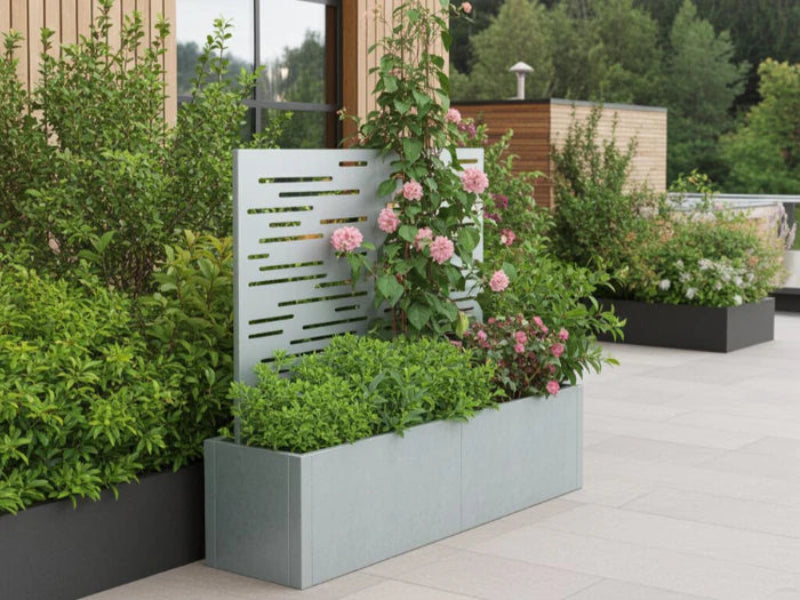 CUBY plantekasse i galvanisert stål med espalier og klatrerose