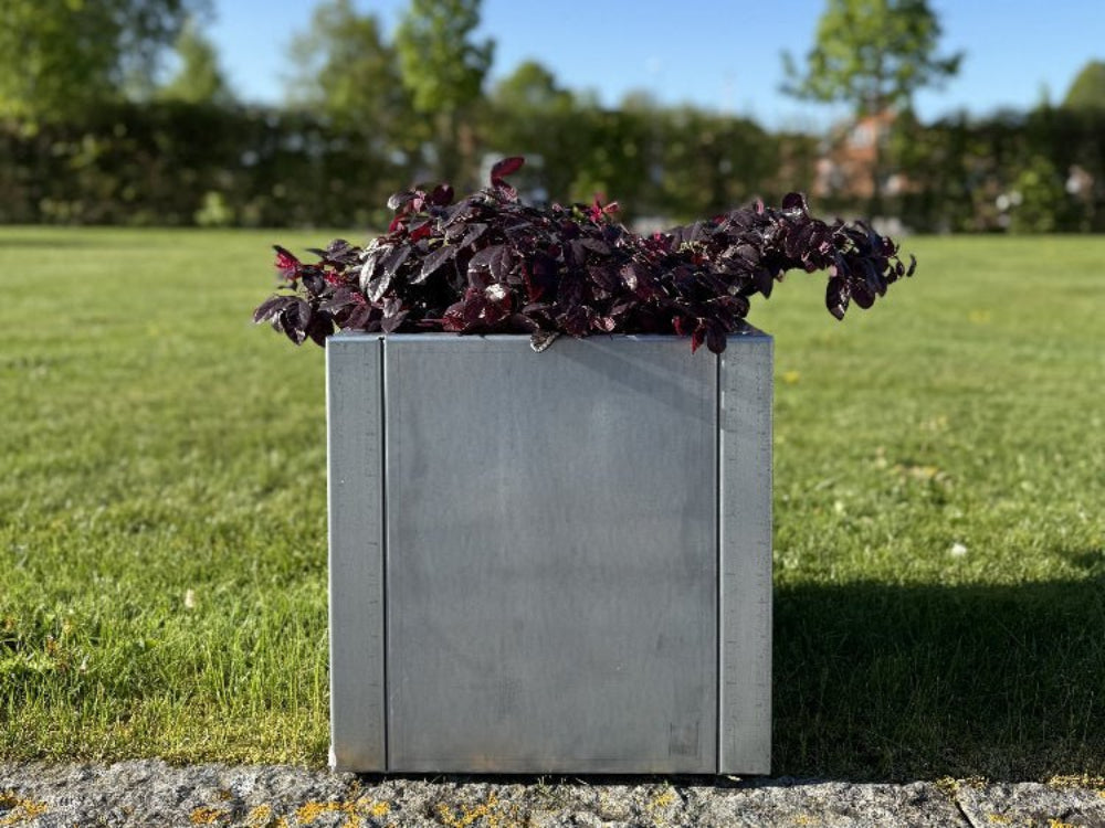 CUBY plantekasse i galvanisert stål med mørke blader i solrik hage