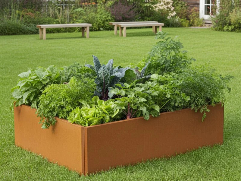EDGY høybed i cortenstål med grønnsaker plassert på gressplen