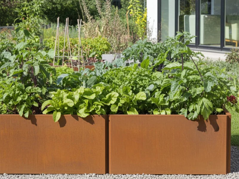 EDGY plantekasse i cortenstål i lang modell med salat og grønnsaker