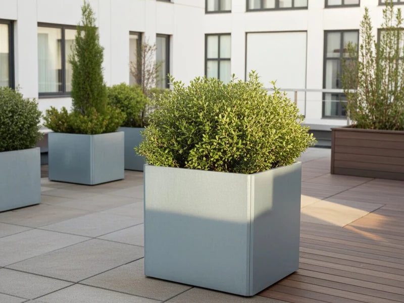 Galvanisert EDGY plantekasse med busk i moderne gårdsrom