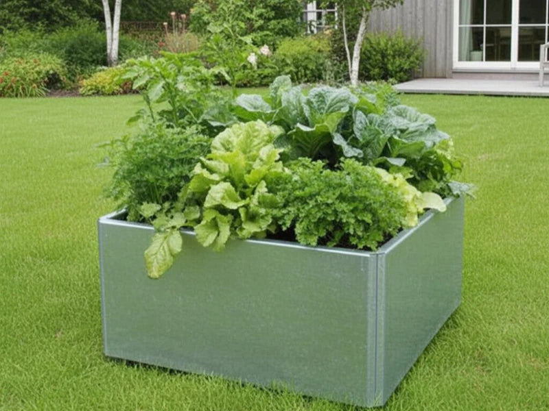 EDGY kvadratisk lav plantekasse i galvanisert stål med grønnsaker