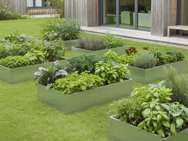 Høybed i galvanisert stål med salat og urter i kjøkkenhage