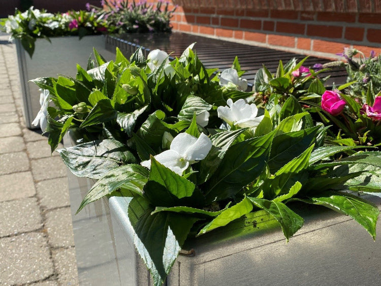 galvaniseret-edgy-med-blomster-no