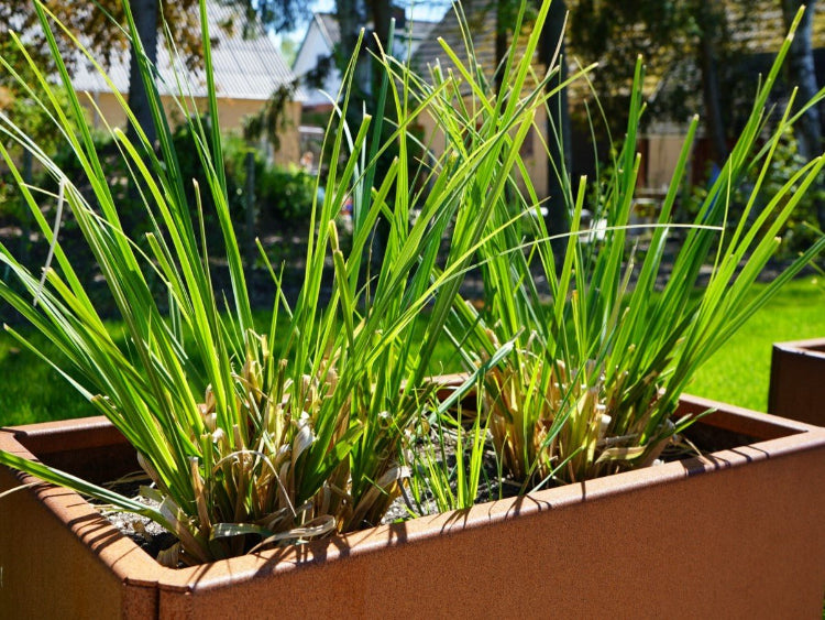 graesser-edgy-plantekasse-no