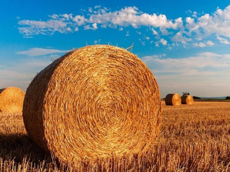 hay-bales-hoest-no