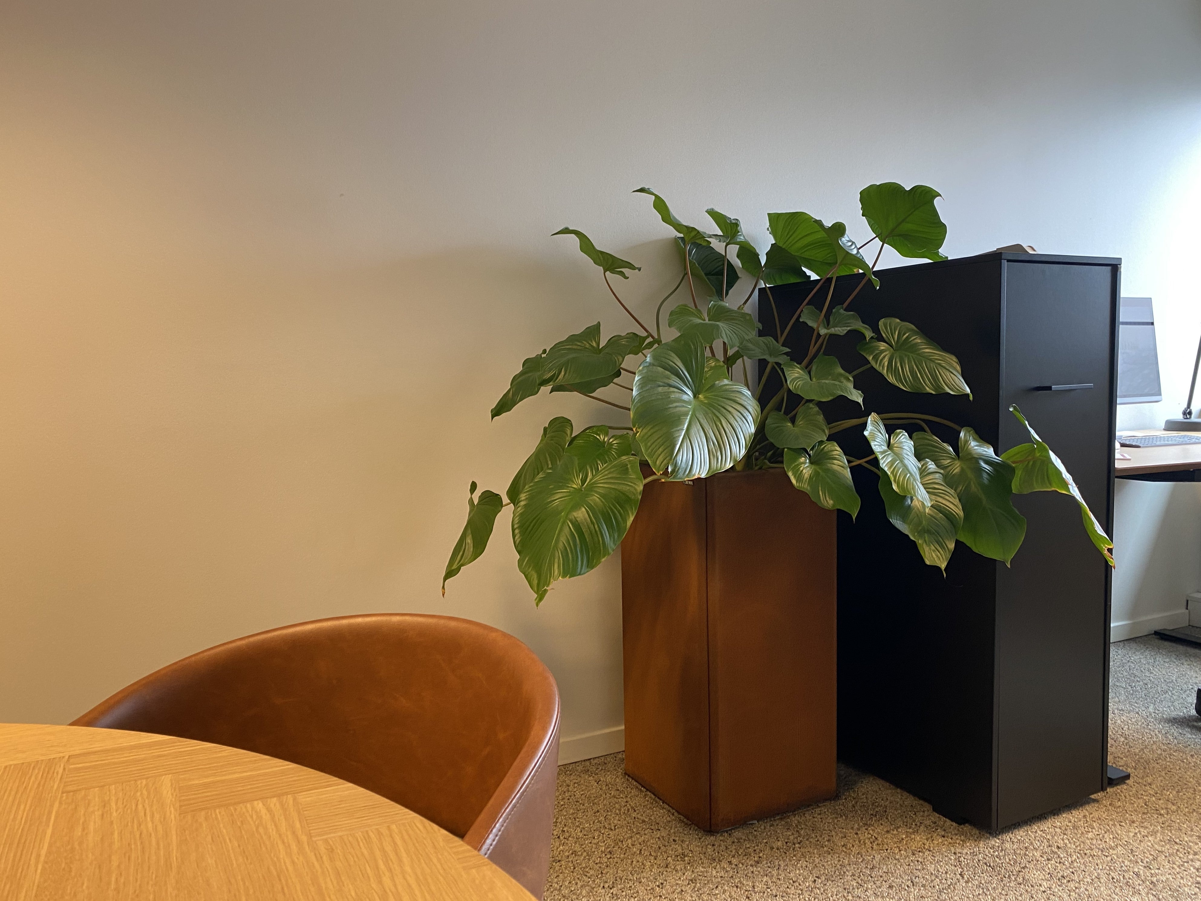 hoej-cortenstaals-plantekasse-no