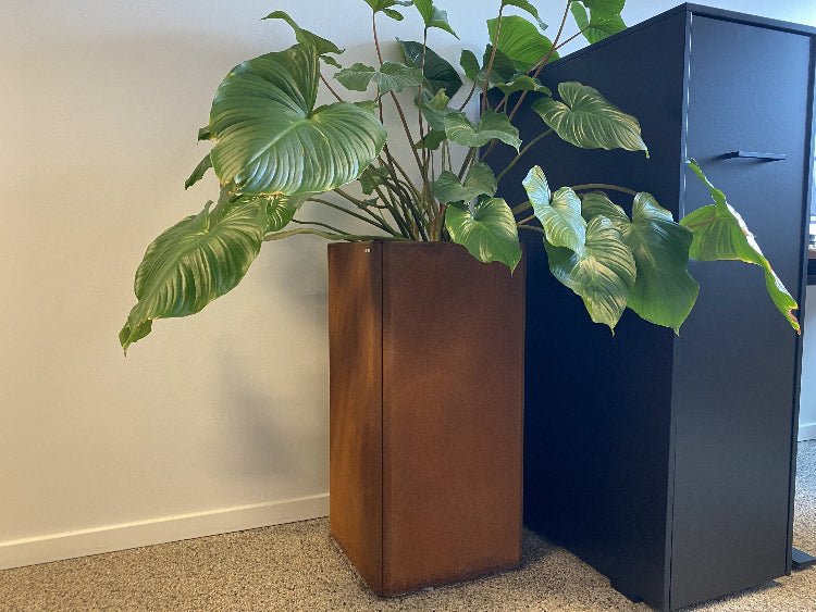 hoej-plantekasse-til-kontor-no