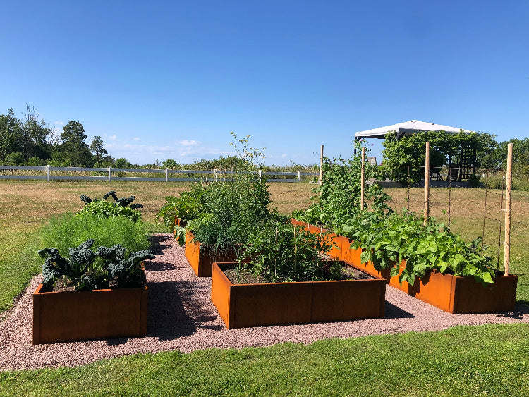 hoejbede-corten-plantekasser2-no