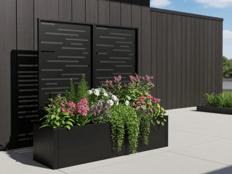 Høybed i svart stål med espalier og blomstrende planter