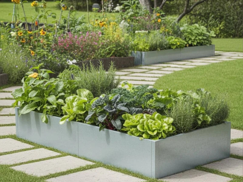 Høybed i galvanisert stål med grønnsaker og urter langs hagegang