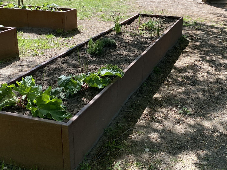 kaempe-hoejbed-til-boernehave-no