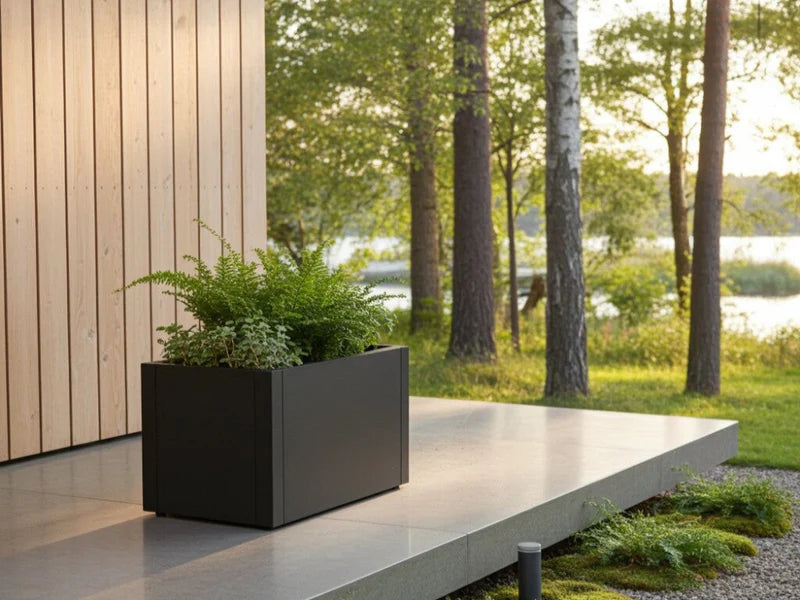 Lav plantekasse i svart stål med bregner ved terrasse