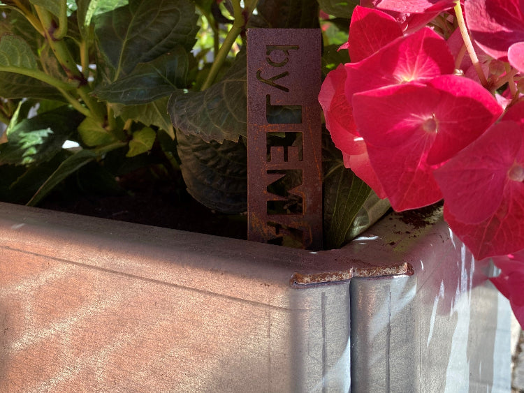 pink-blomst-i-edgy-plantekasse-no