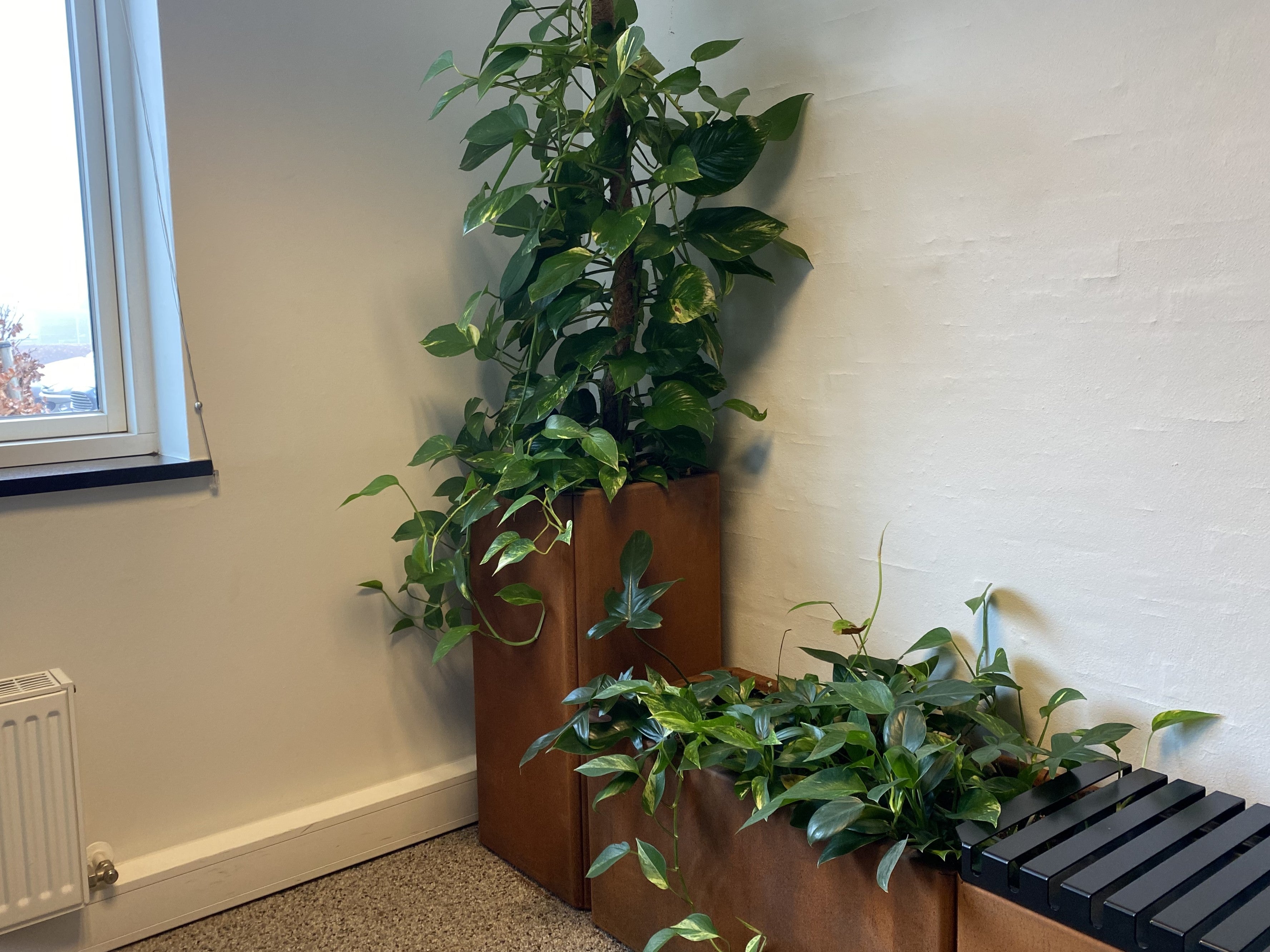 plantekasse-baenk-cortenstaal-kontor-no