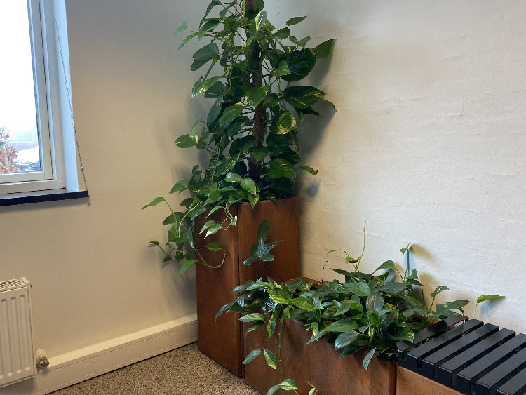 plantekasse-baenk-cortenstaal-kontor-no