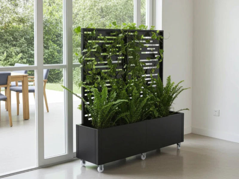 Plantekasse med espalier i svart stål brukt som romdeler