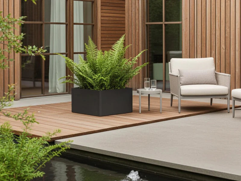 Kvadratisk plantekasse i svart stål med bregne